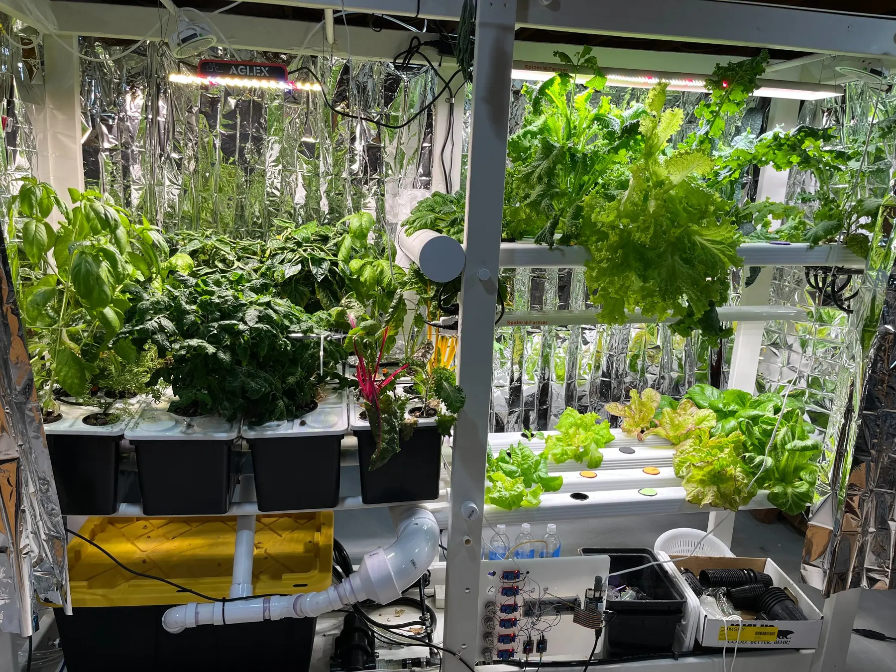 Established indoor hydroponic grow room with Dutch buckets and multilevel NFT channels
