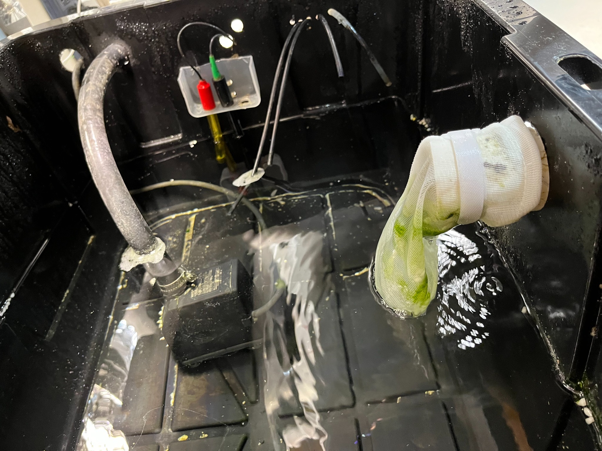 Inside the black nutrient reservoir, with electrodes, submerged pump, and screened drain